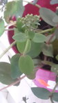 20220920_164426.jpg