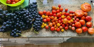 20220922_185253.webp