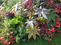 IMG_20220911_131650_1.webp