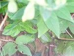 DSC02650.JPG