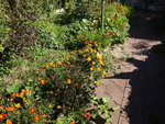 DSC02652.JPG