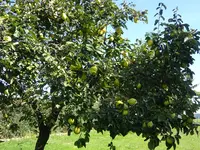 DSC02661.webp