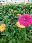 IMG_20220909_143413_1.jpg