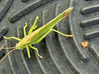 DSCF3161 (2).webp