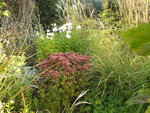 DSCF5263.JPG