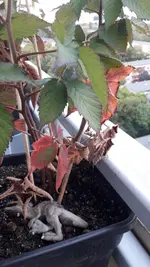 20220925_175903.webp
