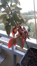 20220925_175908.webp
