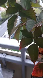 20220925_175926.webp
