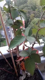 20220925_175929.webp