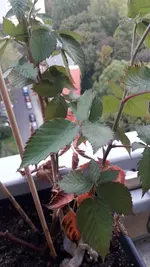 20220925_175931.webp