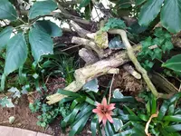 IMG_20220909_134900_1.webp