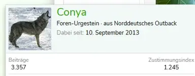 conya.webp