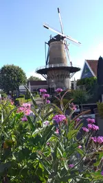 20220926_163133.webp