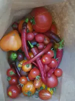 20220828_175533.webp