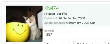 kiwi.webp