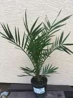 IMG_0329 (1).webp