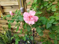 IMG_20220927_095831_1.webp
