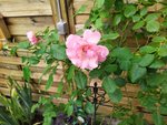 IMG_20220927_095831_1.jpg