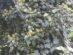 BILD0494.JPG
