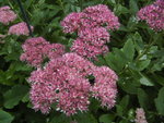 BILD0475.JPG