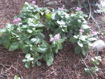 BILD0487.JPG