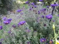 BILD0497.webp