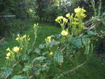 BILD0514.JPG