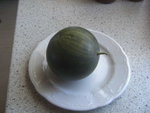 BILD0504.JPG