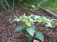 IMG_20220927_095940.webp