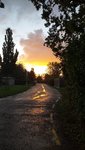 20220928_075308.jpg