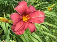 BILD0128.webp