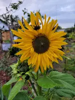 20220929_181155.webp