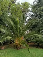 IMG_20220924_181829.webp