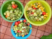 c048.webp