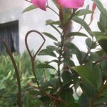 IMG_7725_Detail.jpg