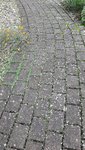 20220929_180558.jpg