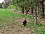 IMG_0651 - Copy.JPG
