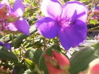 DSCI0604.webp