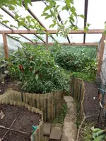 IMG_20220929_151009.webp