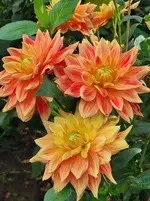 IMG_20221002_160900.webp