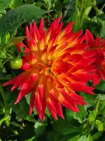IMG_20221002_161203.webp