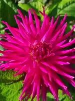 IMG_20221002_161411.webp