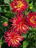 IMG_20221002_161438.webp