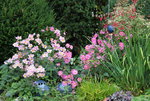 September 0522.JPG