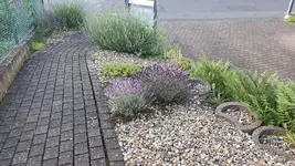 20210710_203900.webp