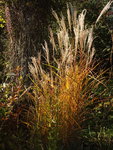 DSCF5291.JPG