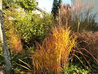 DSCF5299 (2).webp