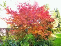 DSCF5290 (2).webp