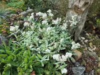 DSCF5298 (2).webp
