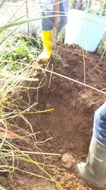 20221003_150441.webp